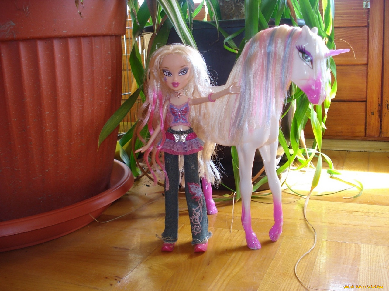 , bratz, 